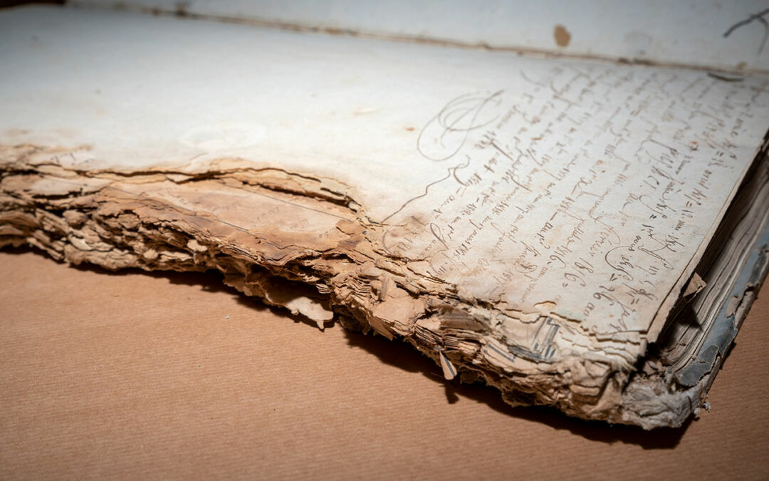 CONSERVATION JAGGER LIBRARY – SOUTH AFRICA